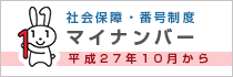 マイナンバー制度